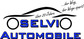 Logo Selvi Automobile